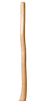 Medium Size Natural Finish Didgeridoo (TW1184)